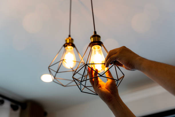 Best Electric Panel Repair  in Golden Grove, SC